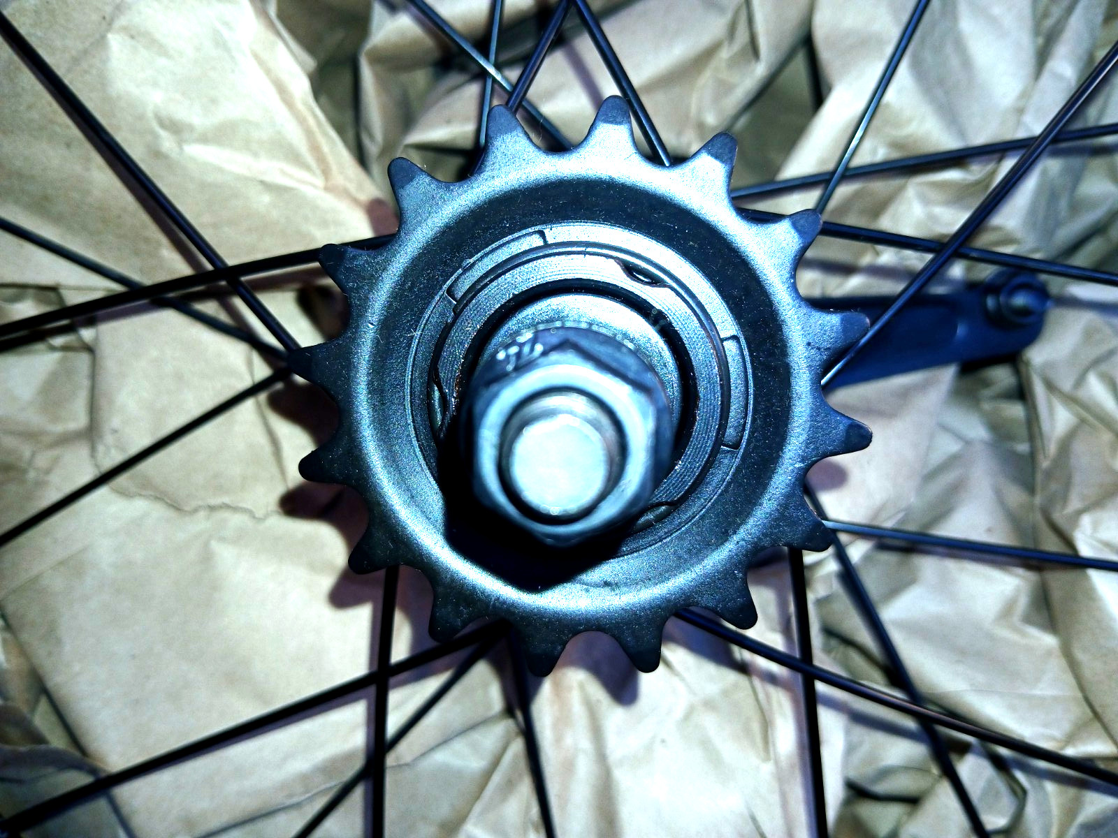 16″ Rear Bicycle Wheel Assembly 16×2.125 57-305 Coaster Brake Hub 16T Sprocket B