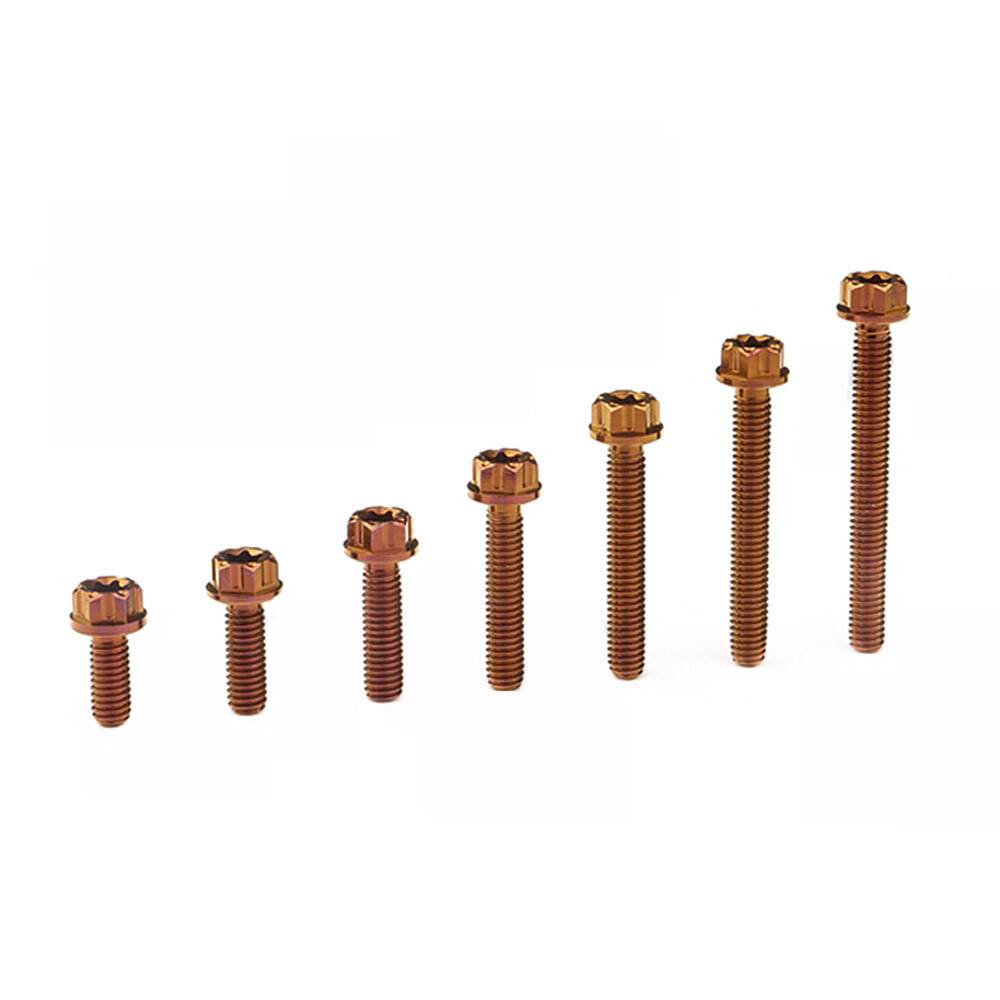 M4x10 12 15 20 25 30 35mm Titanium Bolts Flange torx screws Motorcycle Fastener
