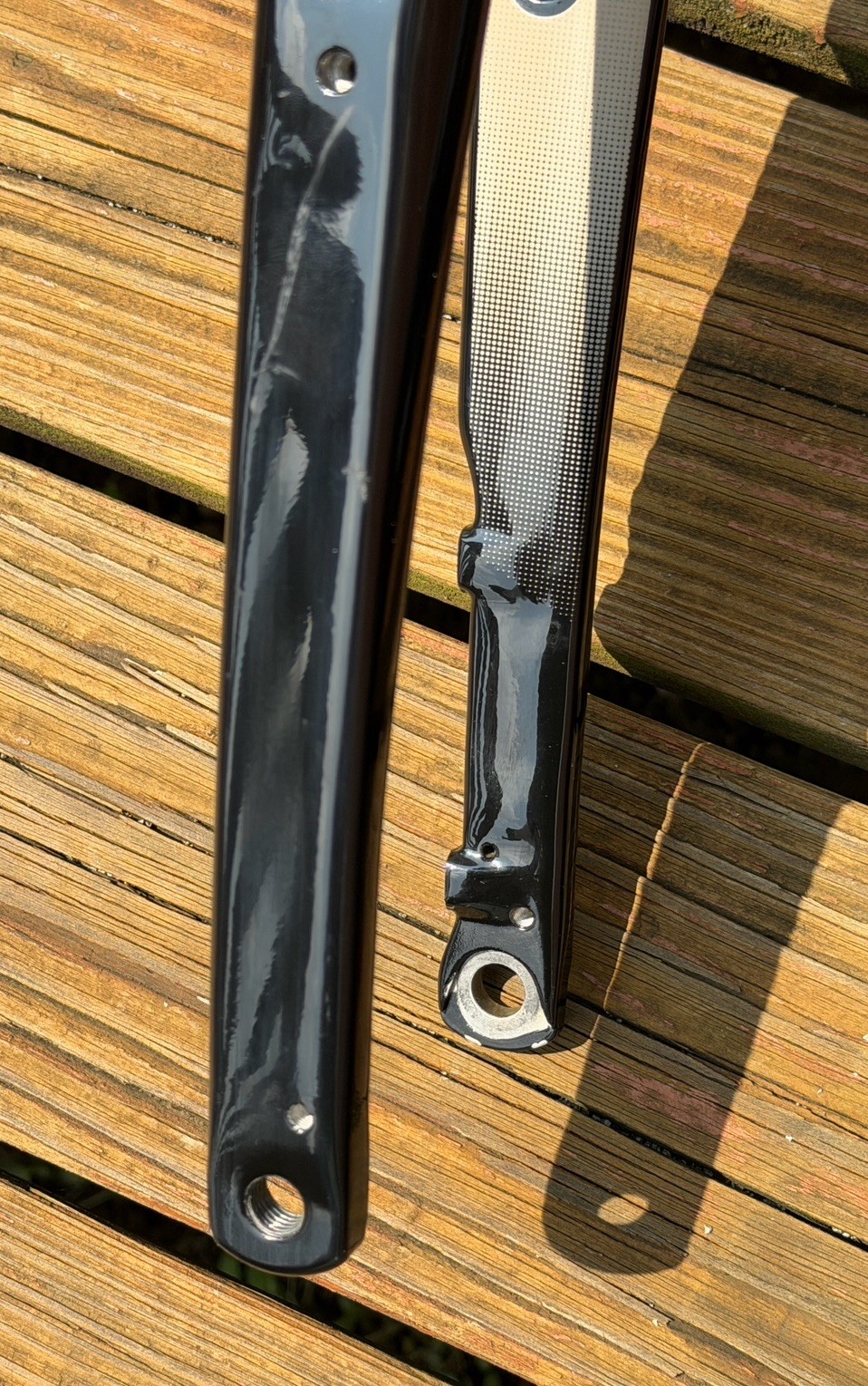Giant Revolt Advanced Carbon Front Fork 255mm Steer Tube