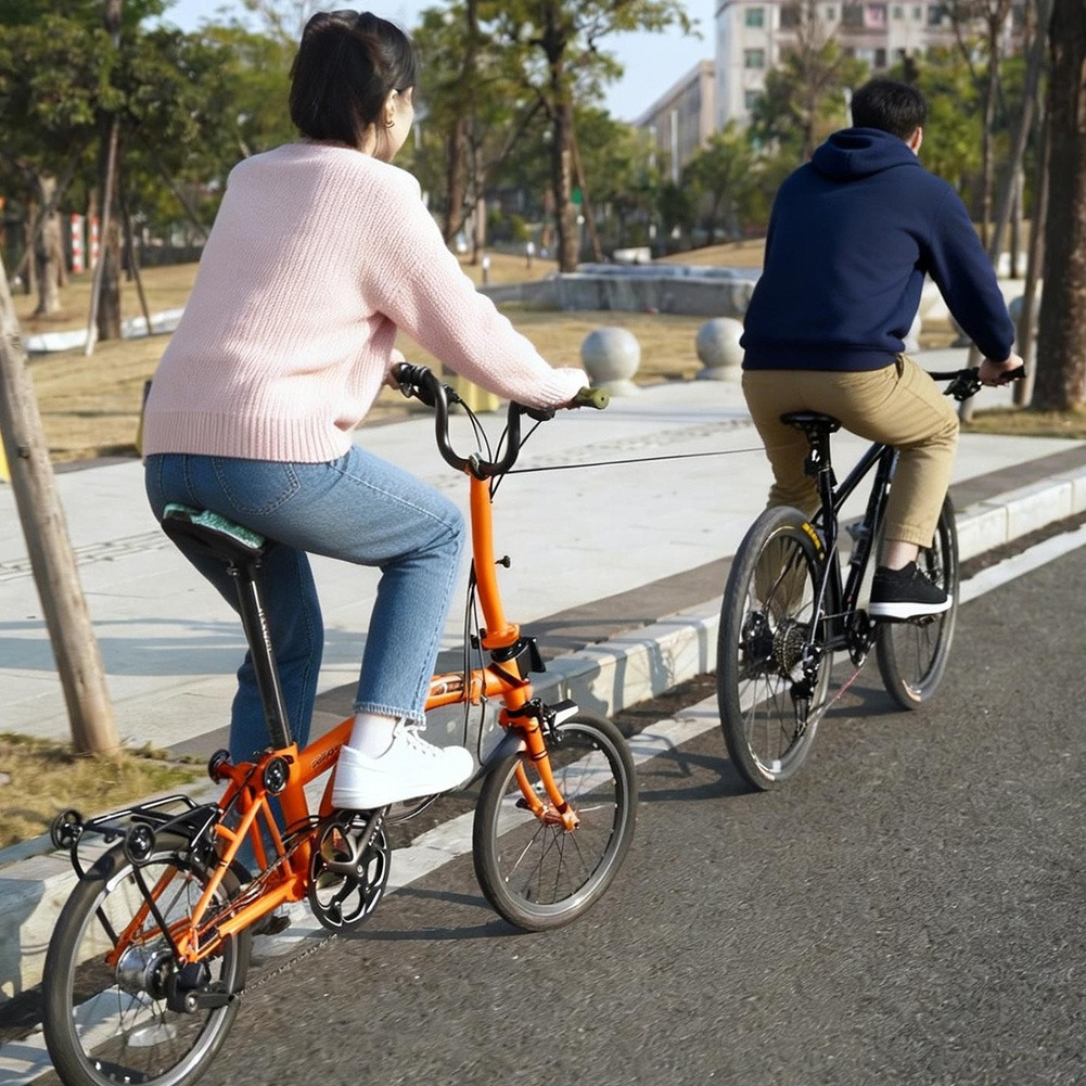Adjustable 2.5m Electric Bike Leash with Zinc Alloy and Nylon Composite