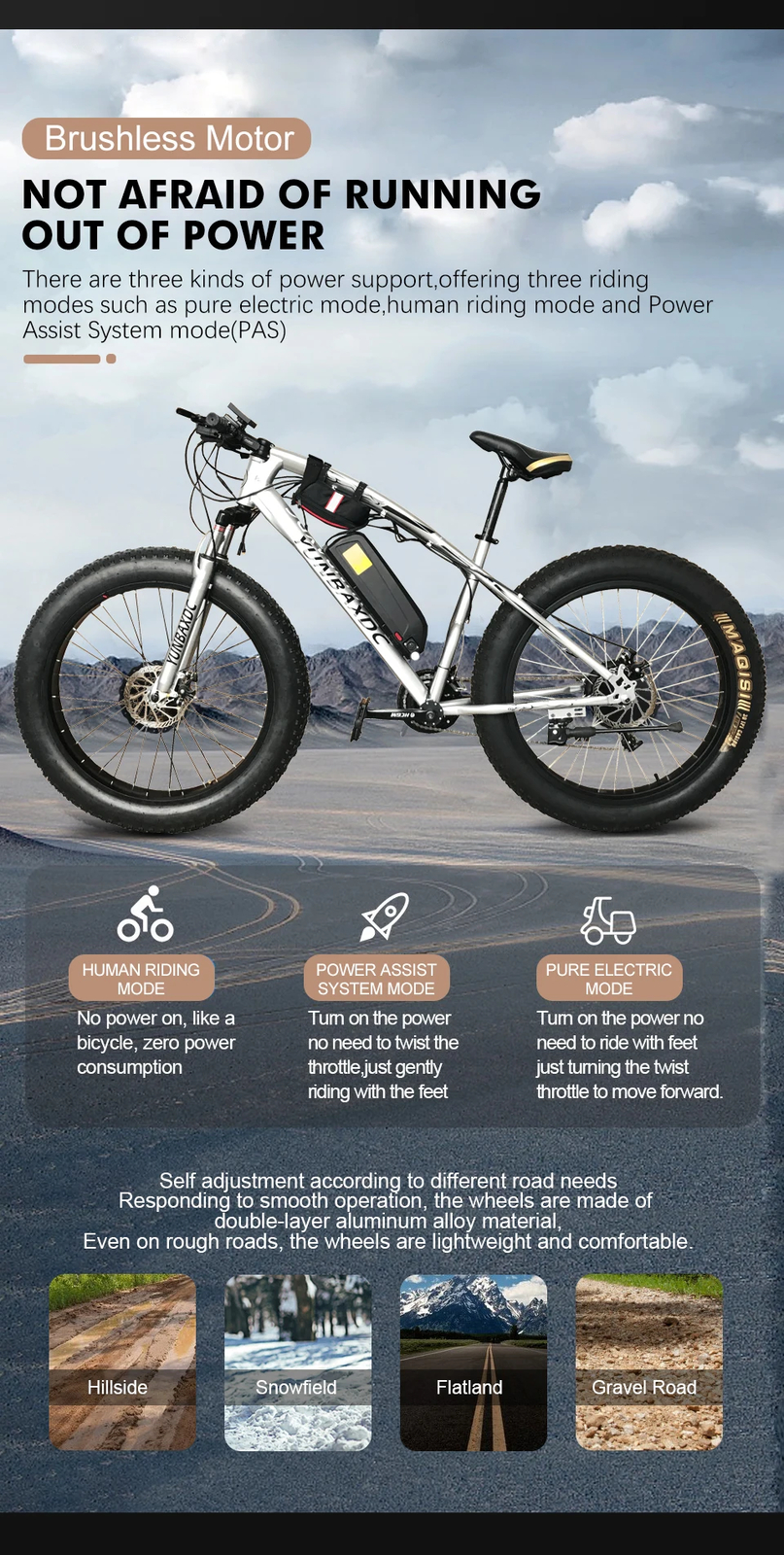 Snow E-bike Conversion Kit 48V 1000W Rear Rotate Hub Motor Wheel 170/190mm