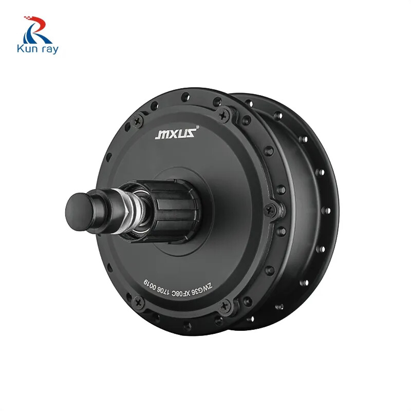 24V 36V 48V 250W Brushless Gear Hub Motor for E-bike Rear Cassette Wheel Motor
