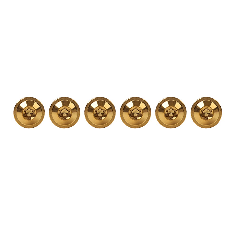 6pcs Titanium Screws M5 Truss Torx Bolts M5 x 10mm for Motorcycle Gold