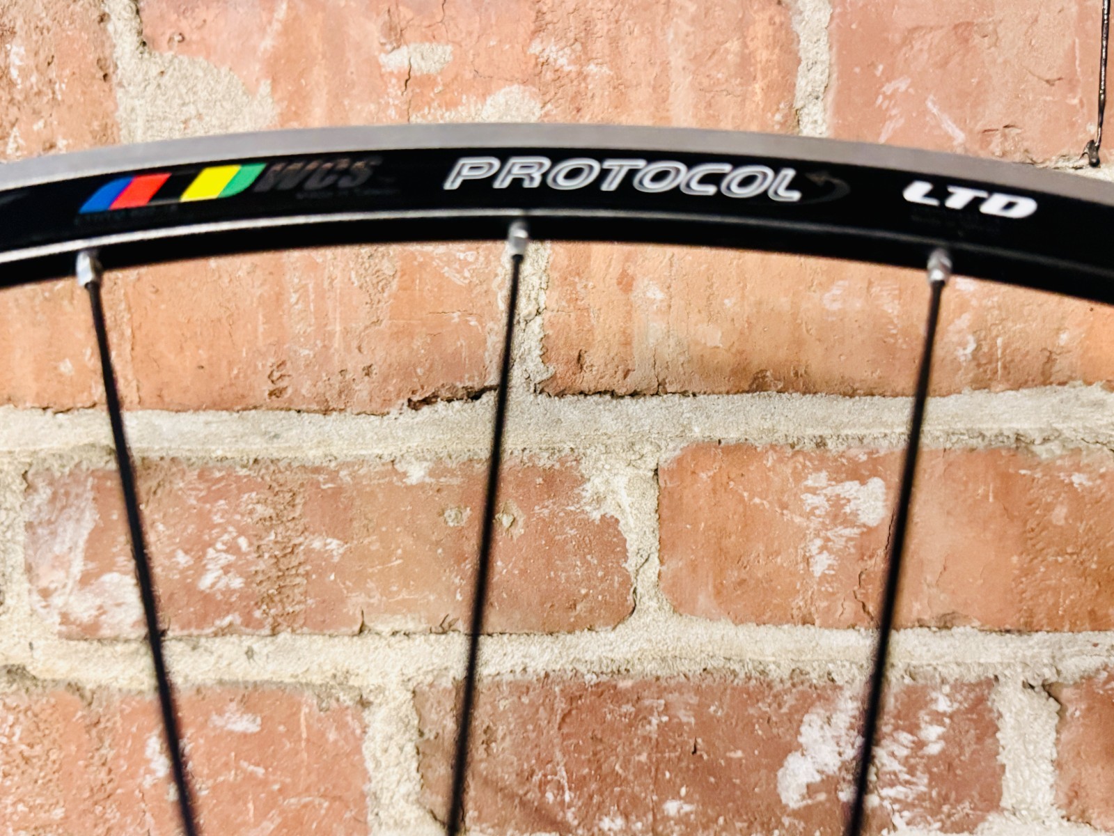 Ritchey WCS Protocol LTD Rim Set