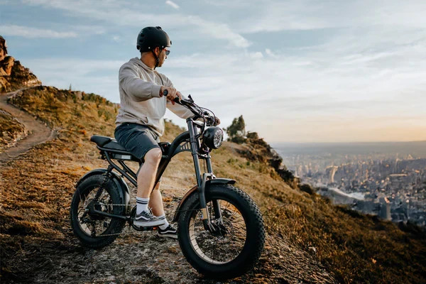 Riding Times Z8S Electric Bike 48V 20.8Ah 750W (1500W Peak) 28MPH NEW