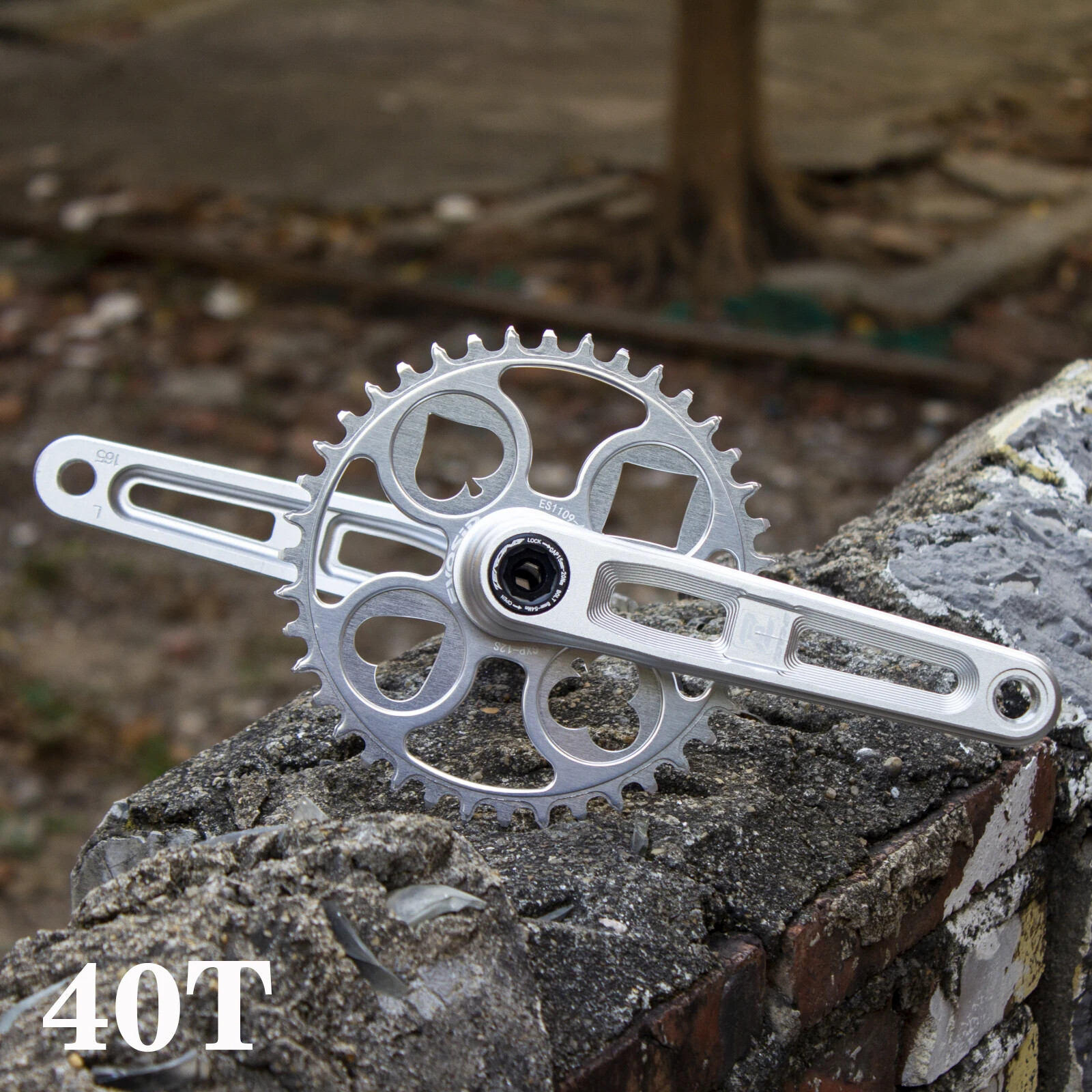 Road Bike Crankset 165mm 170mm Bicycle Crank Arm with 40 42 44 46 48T Chainring