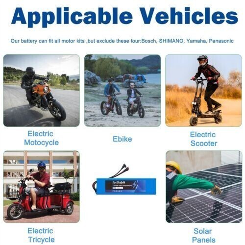 48V Lithium eBike Battery Pack 30A BMS 200W-1000W Electric Bicycle Scooter Bike