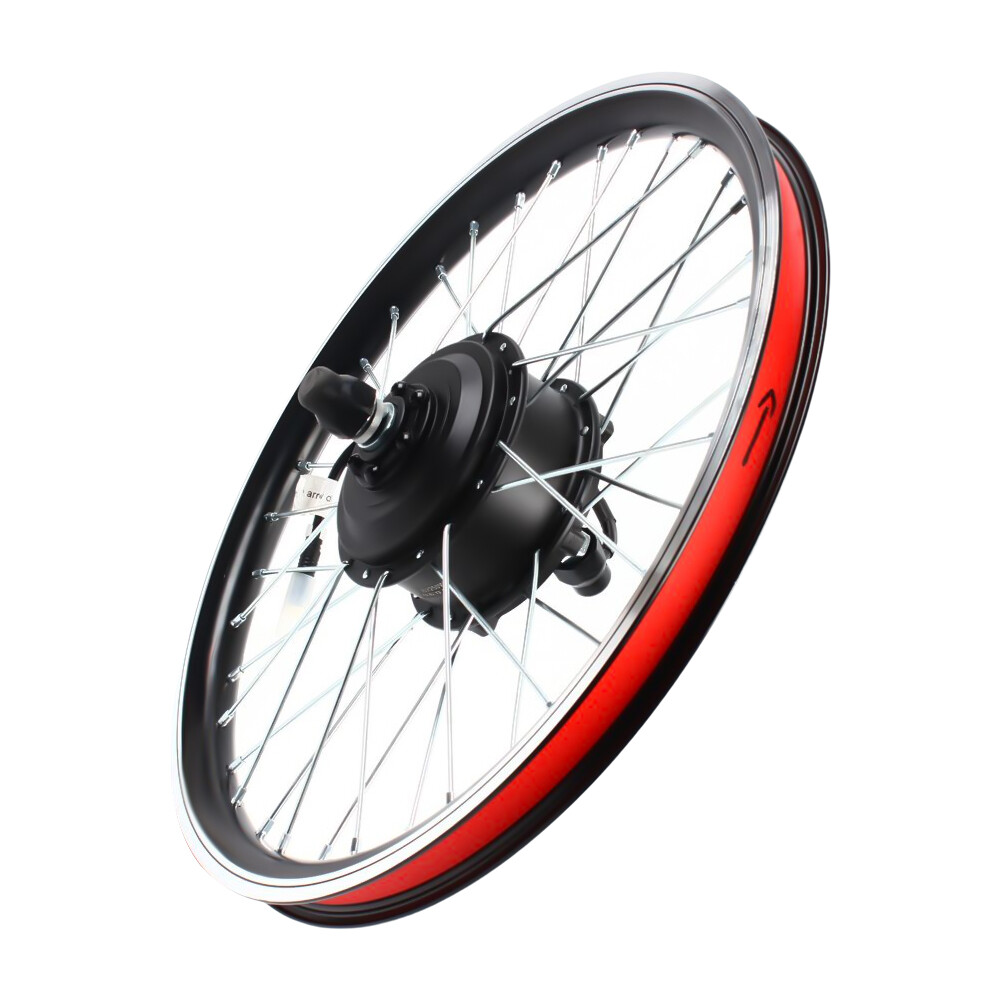 20″ Front Wheel 36V 250W Electric Bicycle Conversion Kit with Throttle