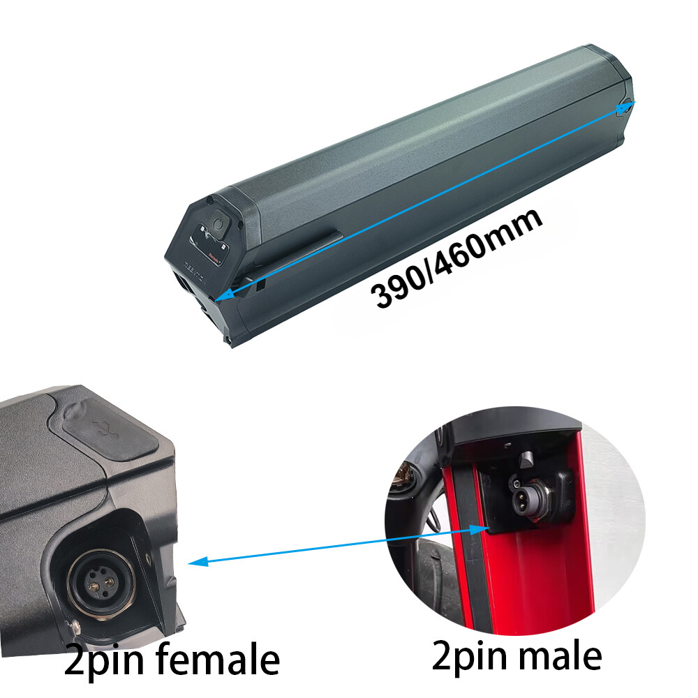 Reention Dorado plus battery 48v 13Ah 14Ah 17.5Ah liion cells for 350w-1000w kit