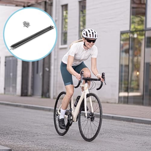12pcs 290mm/11.4inch Stainless Steel Spokes Mountain Bike/Road Bike Steel 14G