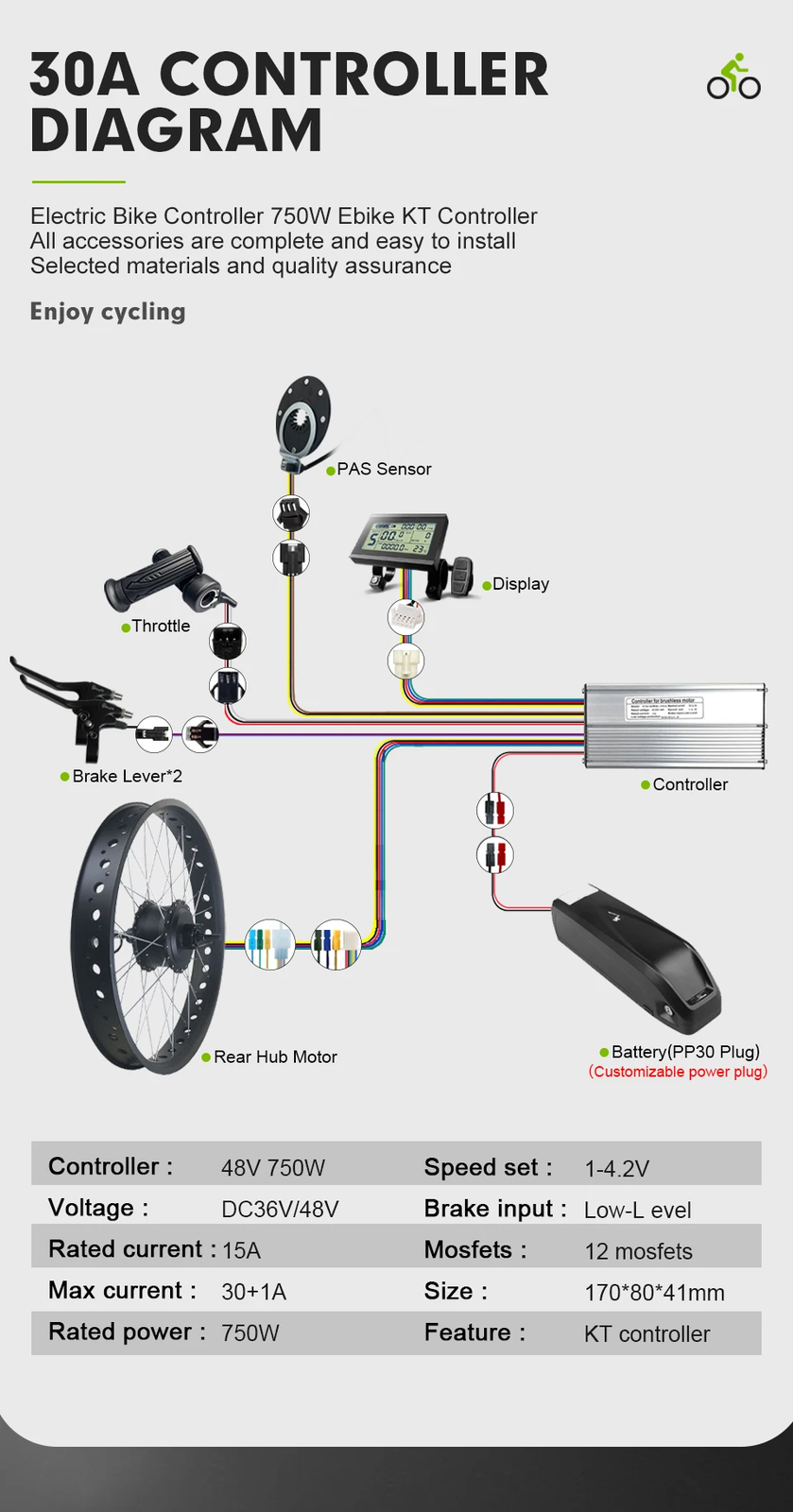 Snow E-bike 48V 750W 20 24 26inch Fat Tire Brushless Gear Rear Rotate Hub Motor