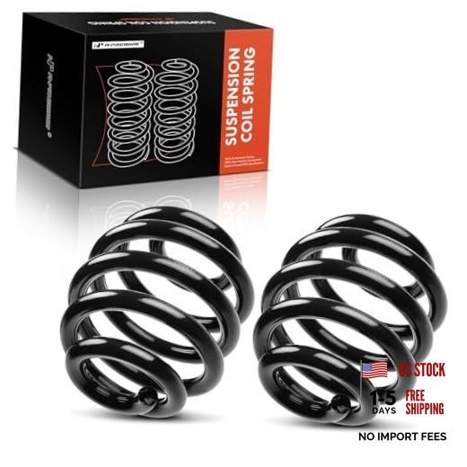 2Pcs Rear Suspension Coil Spring Set Compatible with Audi TT Quattro 8N3 2001