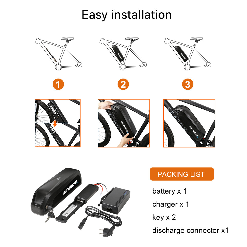 48V 1000W Hailong Battery Electric Bike Battery 48V Ebike Lithium Battery