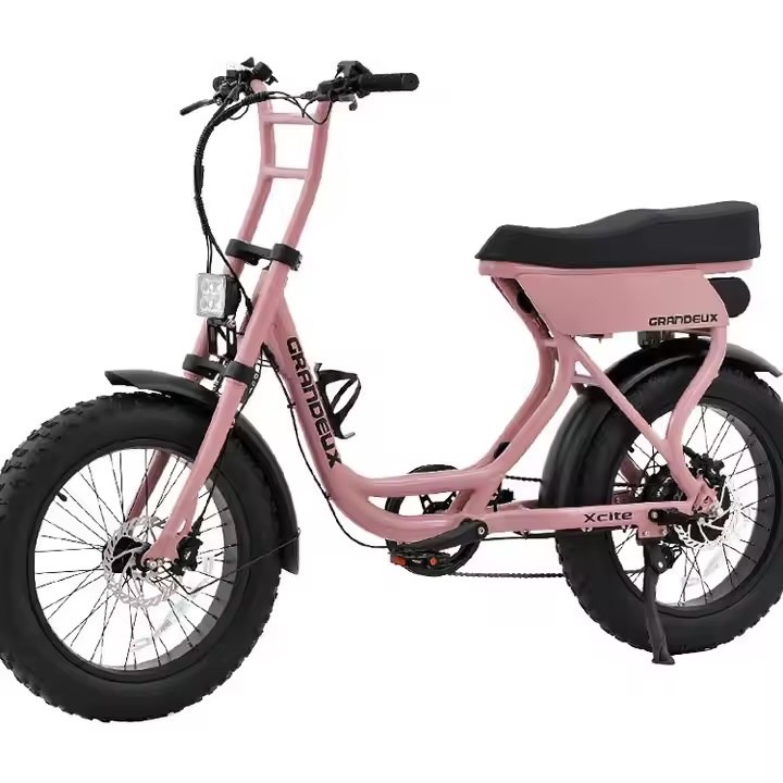 1000w 2000w 3000w 5000w fat wheel ebike 72v 40ah daul motor electric mountain bi
