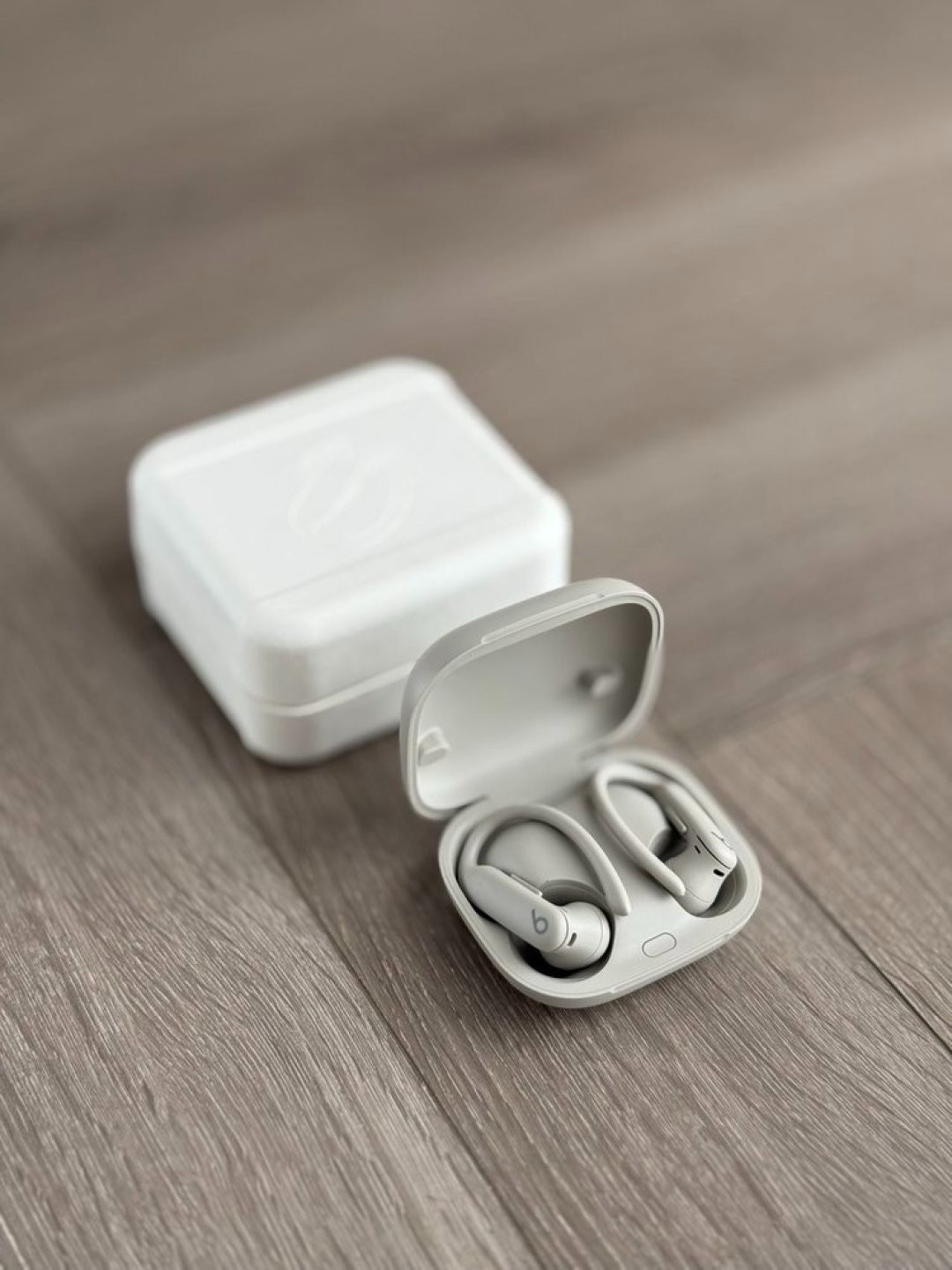 Beats Powerbeats Pro 2 Noise Cancelling Earbuds Headphones – Grey