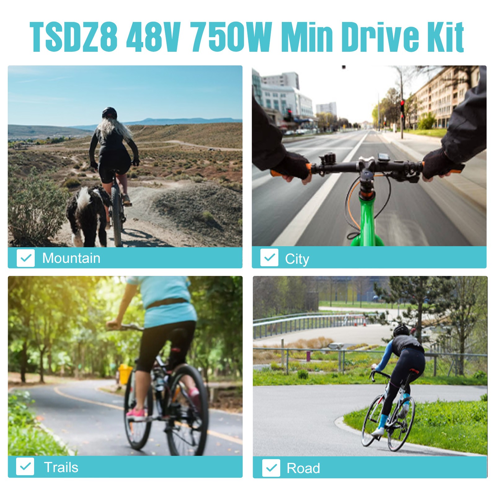 48V750W Tongsheng Mid Drive Motor Torque Sensor 68-73MM EBike Conversion Kits US