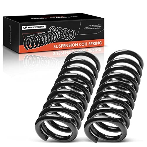 2Pcs Rear Left and Right Suspension Coil Spring Set Compatible with Buick