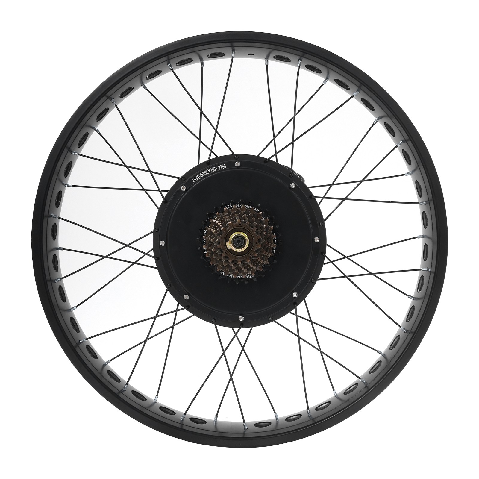 26″x4″ 48V Electric Bike Rear Wheel Hub Motor LCD E-Bike Conversion Kit 1000W