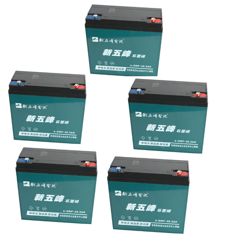 12V 20Ah 6-DZM-20 6-dzm-12 Battery for Go Kart Cart Golf ATV Quad Scooter BIKE