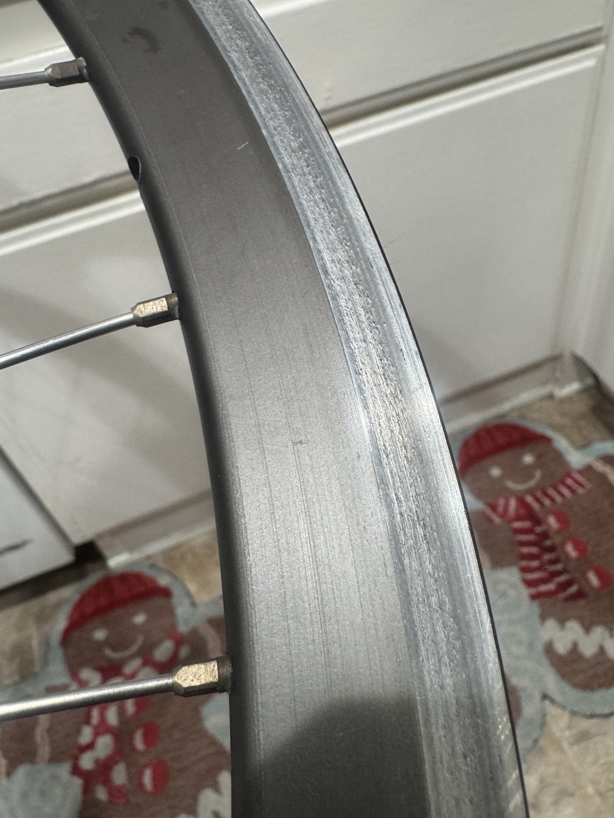 650c Velocity Deep V Rim – 32 Hole – Made in Australia -Campagnolo Hub