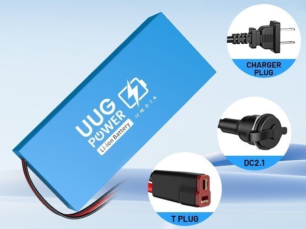 Electric Bicycle 48V 20Ah Lithium Ebike Battery F o 100W-1500W BMS 30A