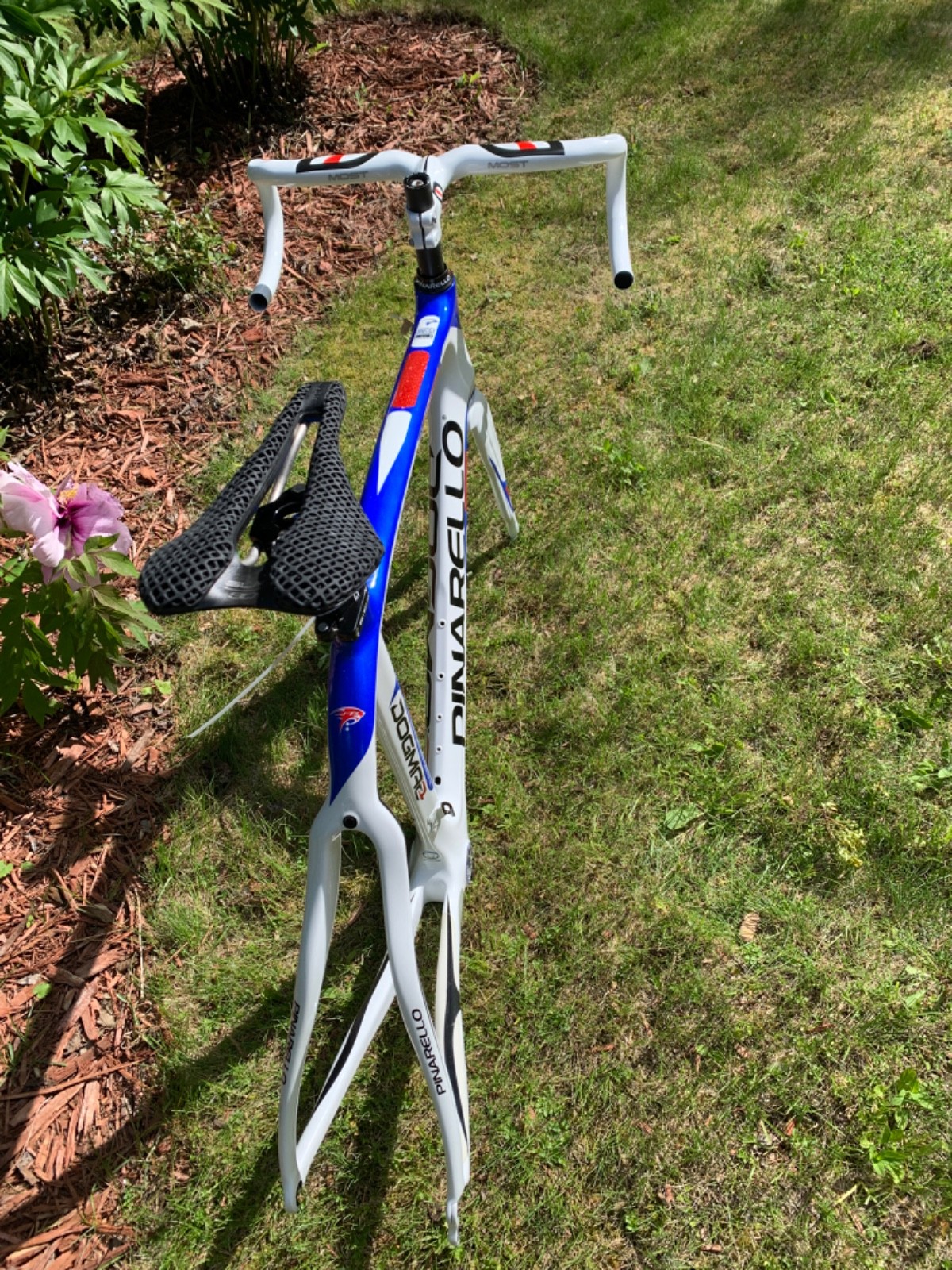New! Pinarello Dogma 2 55cm frame + Selle Italia 3D + Most Talon 120 x 460