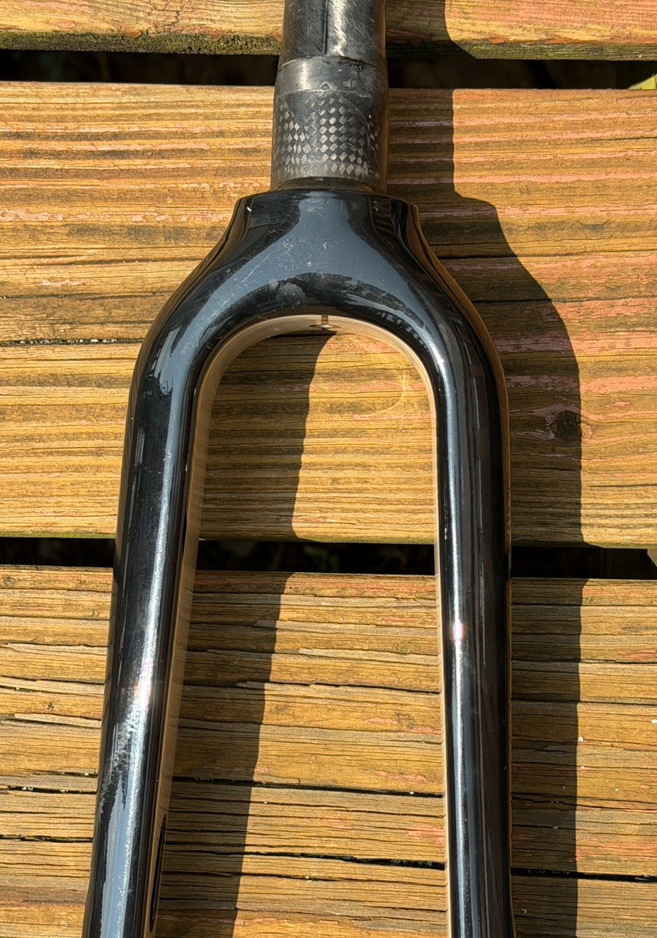 Giant Revolt Advanced Carbon Front Fork 255mm Steer Tube