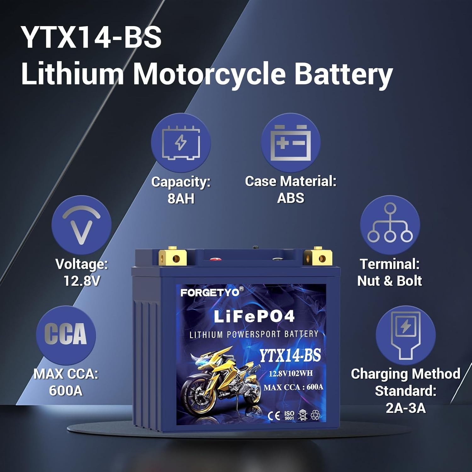 Lithium Motorcycle Battery, ATV Battery 12V 8AH 600CCA Compatible with YTX14-BS