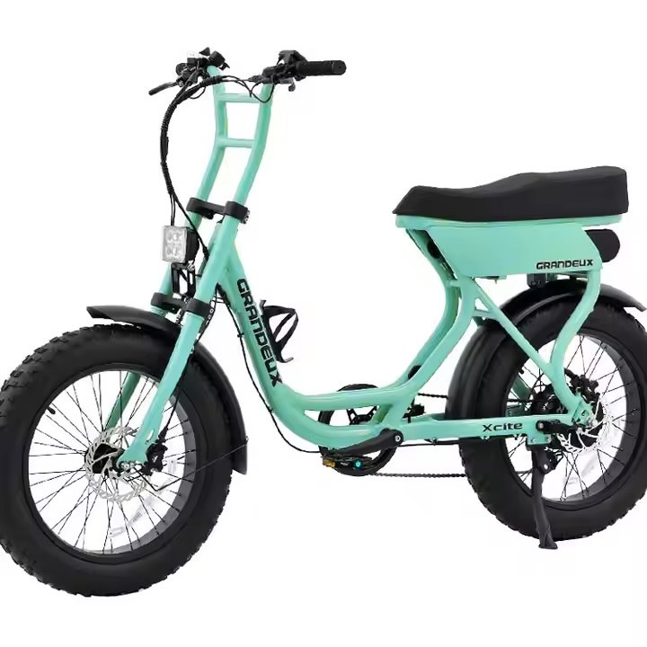 1000w 2000w 3000w 5000w fat wheel ebike 72v 40ah daul motor electric mountain bi