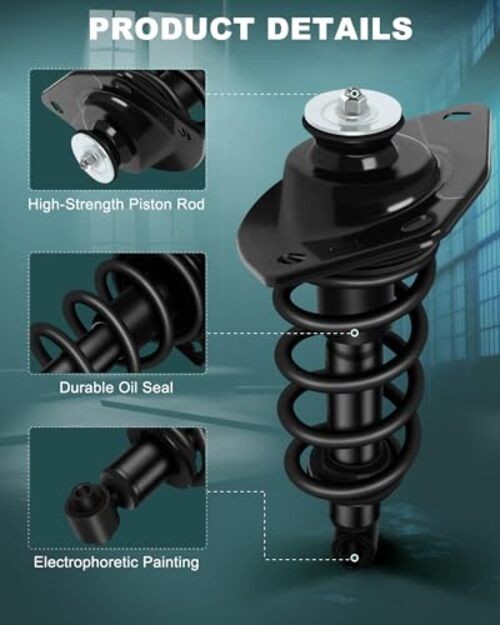 Rear Pair Complete Struts Spring Assembly Shock Absorber Compatible with 2010