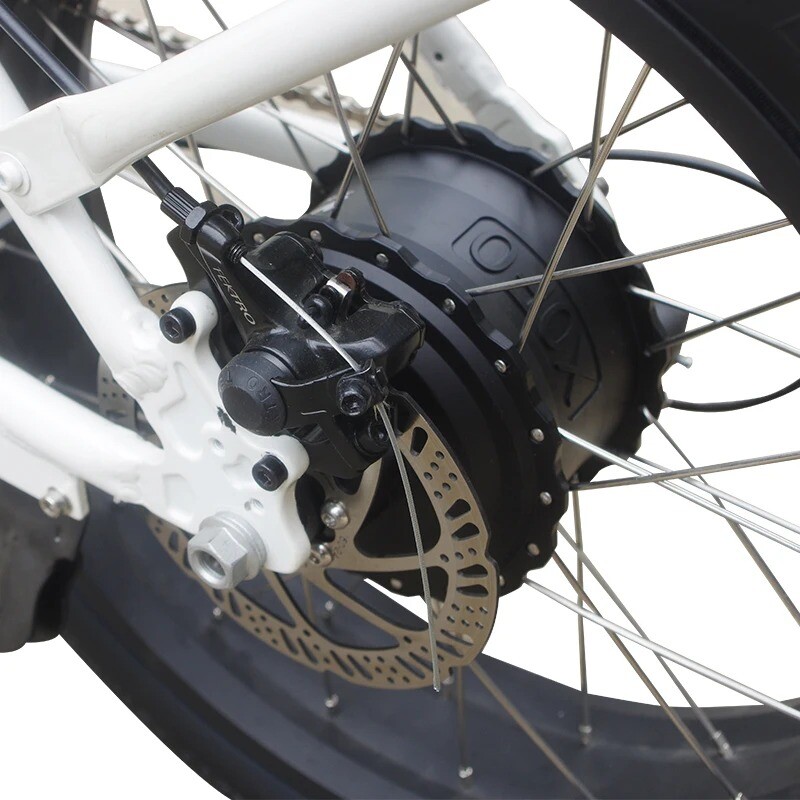 48V 1000W 20/24/26er Snow Fat Tire Electric Bike Brushless Gear Rear Hub Motor