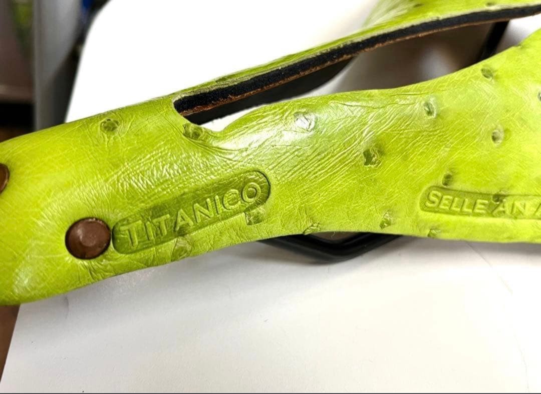 Sella Anaica Ostrich Milton Lifetime 2008