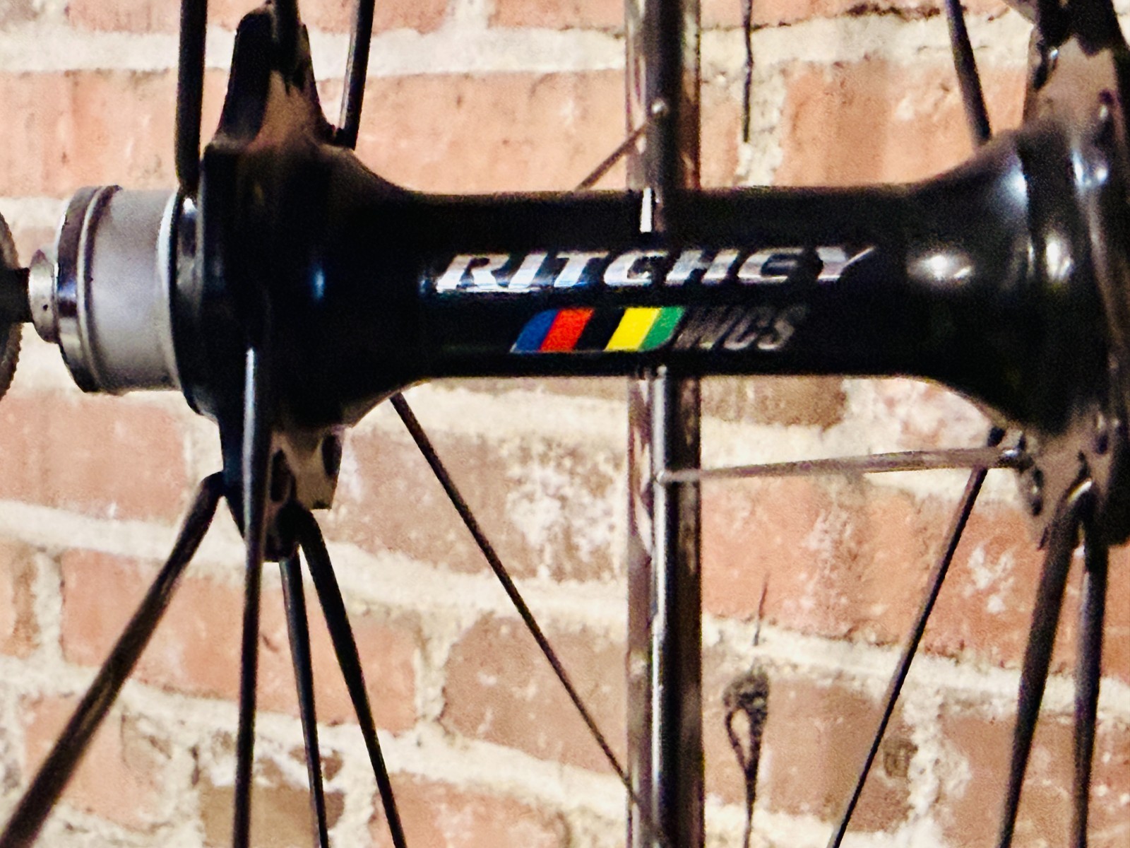 Ritchey WCS Protocol LTD Rim Set