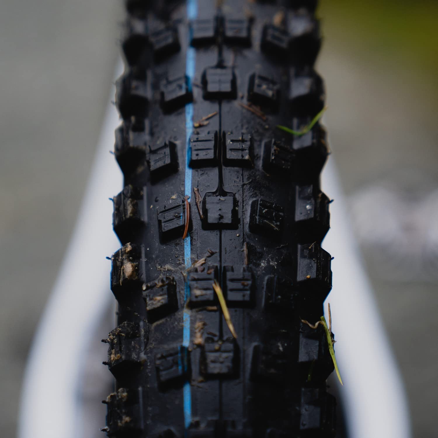 SCHWALBEFolding Tyre 29×2.40 Transparent Sidewall, SpeedGrip