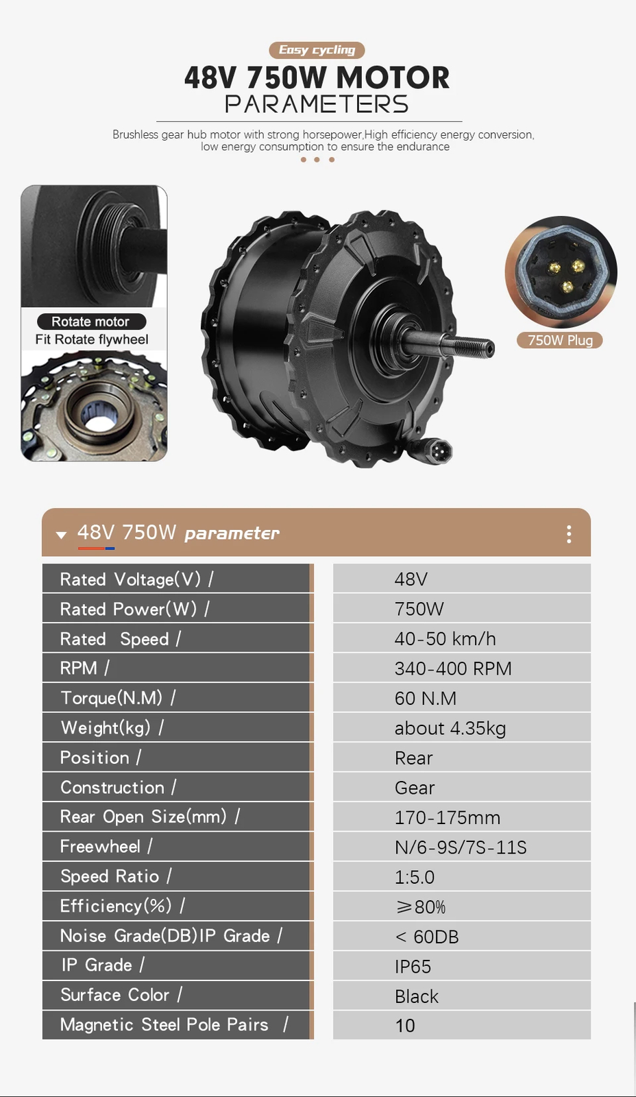 Snow Fat E-bike Conversion Kit 48V 750W Rear Hub Motor Wheel Dropout 170-175mm