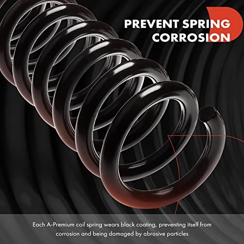 2Pcs Rear Left and Right Suspension Coil Spring Set Compatible with Buick