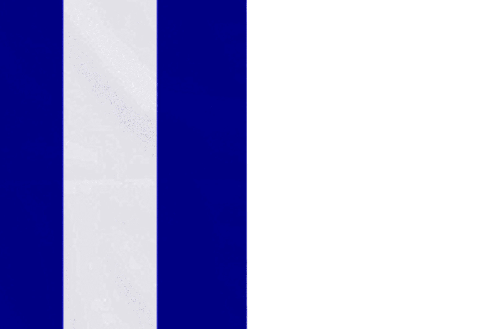 United States Power Squadron Ensign Flag with Eyelets – Handmade in the UK