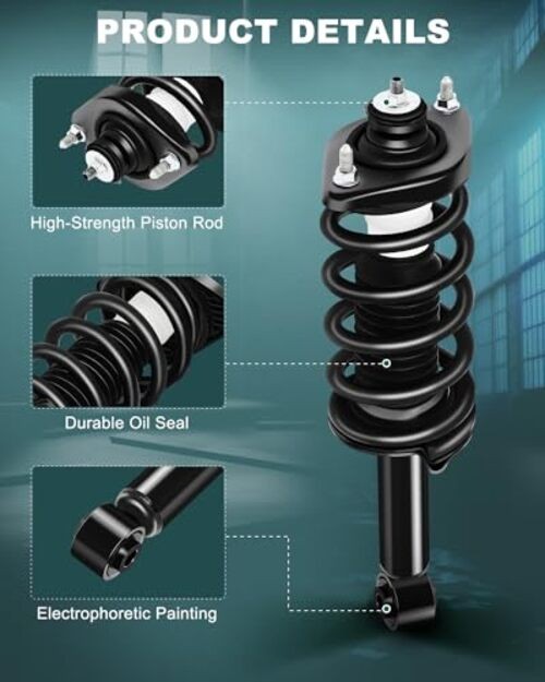 Rear Pair Complete Struts Coil Spring Assembly Shock Absorber Compatible with