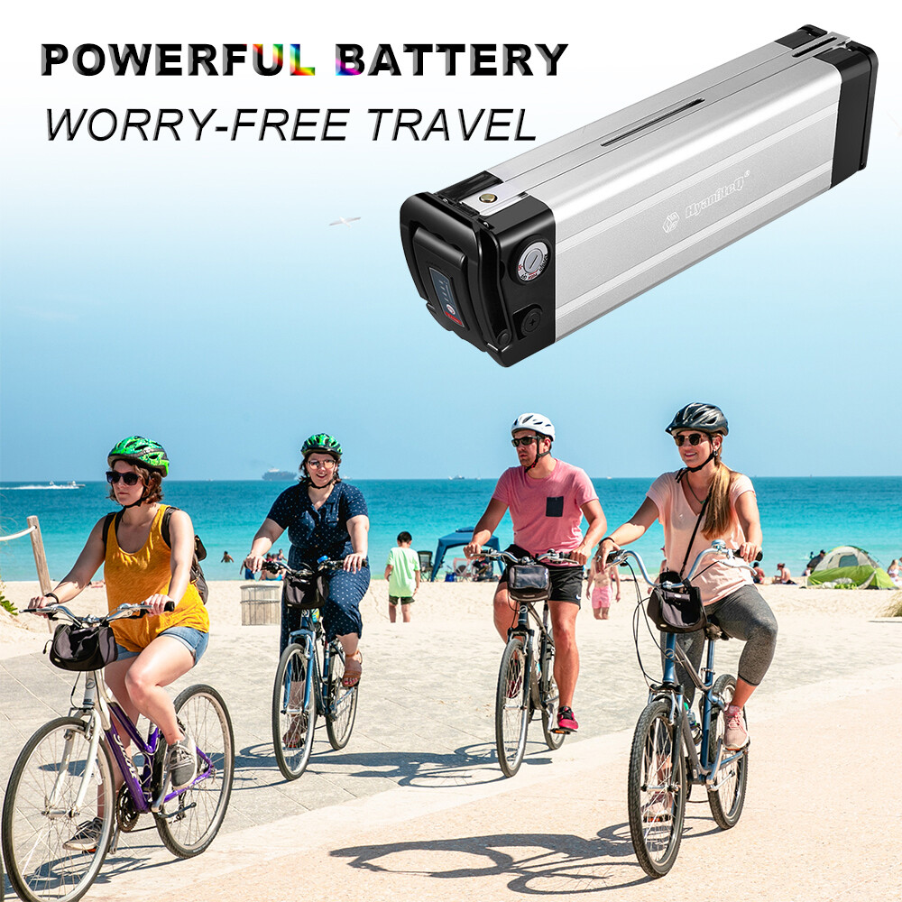 Silverfish E Bike Battery 48V 12.5Ah Lithium Battery For Hiboy Electric Bike EX6