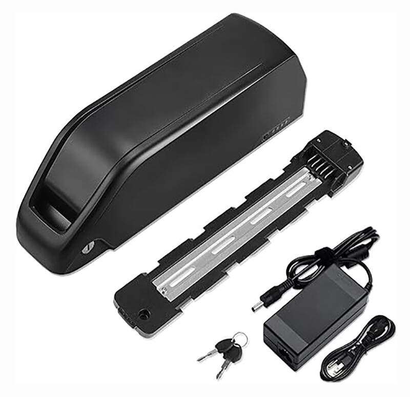 52V 48V 30Ah 250-1500W Hailong Ebike Battery Electric Bike Lithium Battery Pack