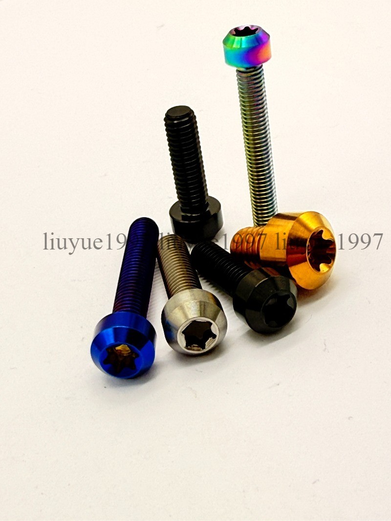 Titanium Bolt M4 M5 M6*10 15 20 25 30 35 40 -100mm Round Head Torx Screw Grade 5