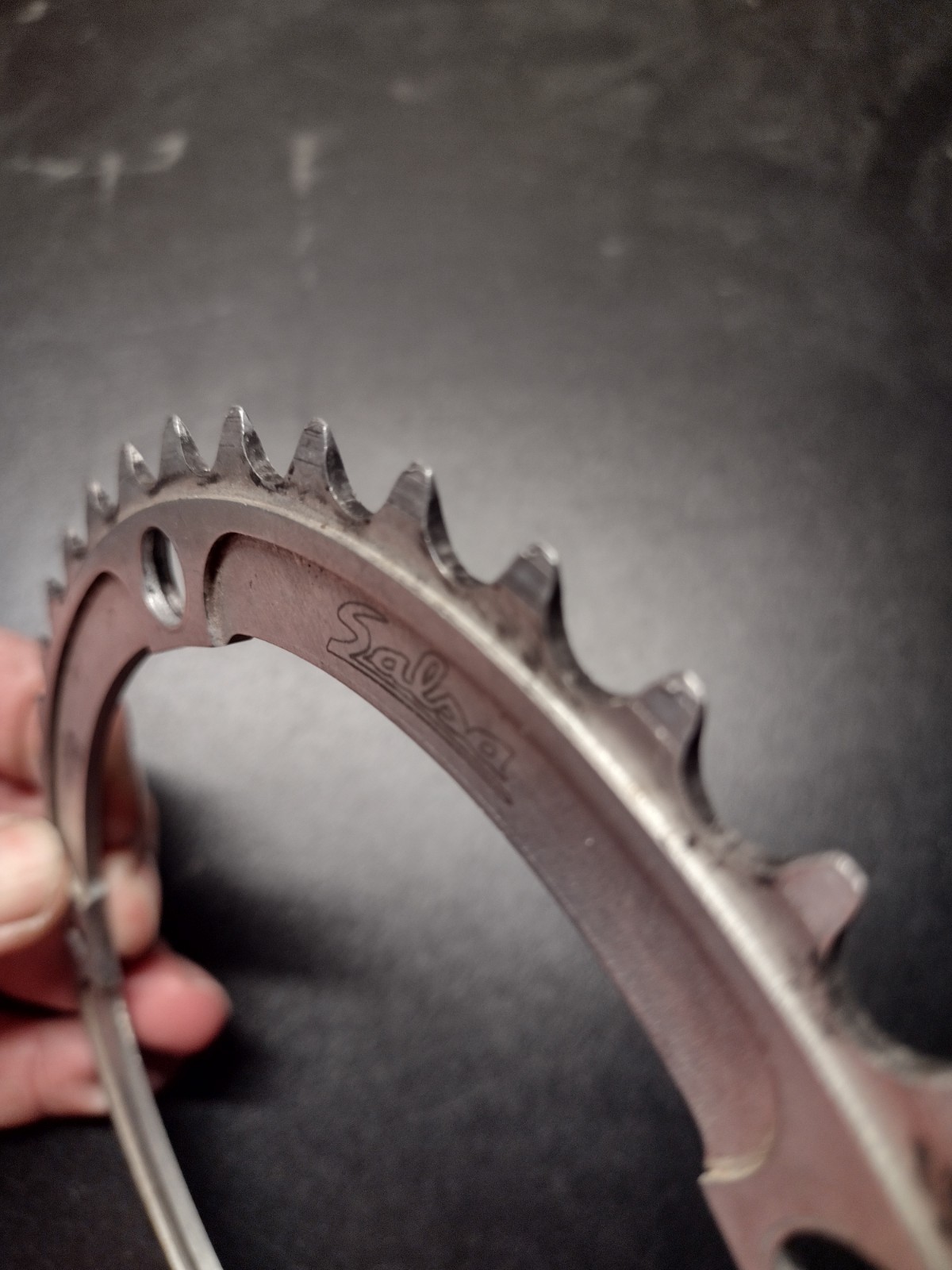 Salsa 144×42 Tooth Chainring Silver Single Speed