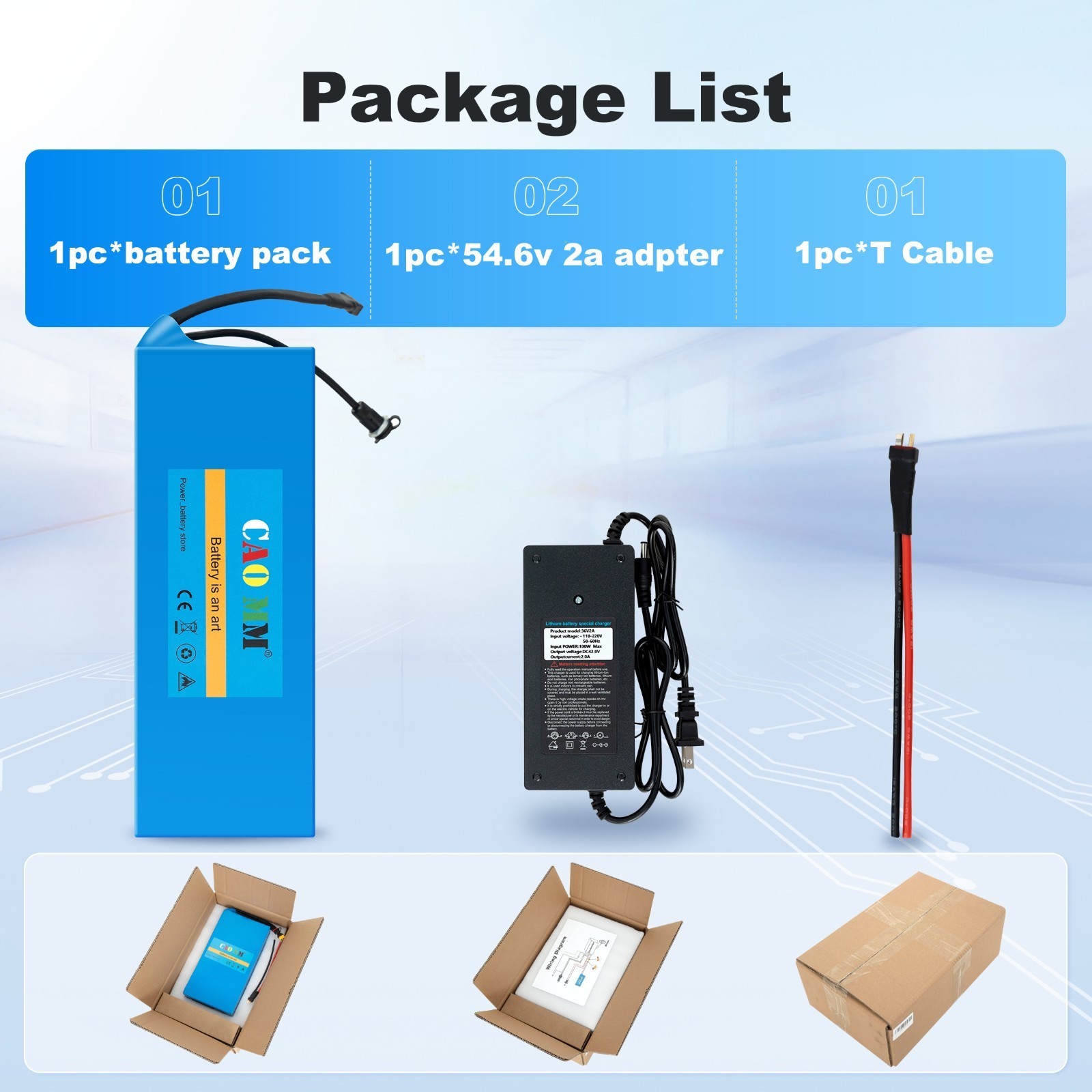 48V Ebike Battery 48V 10AH Lithium Battery for Electric Bicycle 100W-1000W Motor