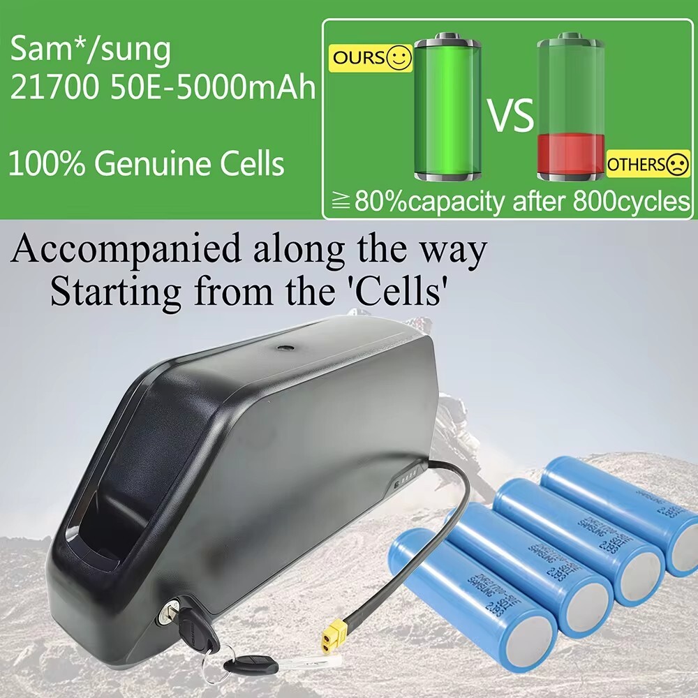 52V 48V 30Ah 250-1500W Hailong Ebike Battery Electric Bike Lithium Battery Pack