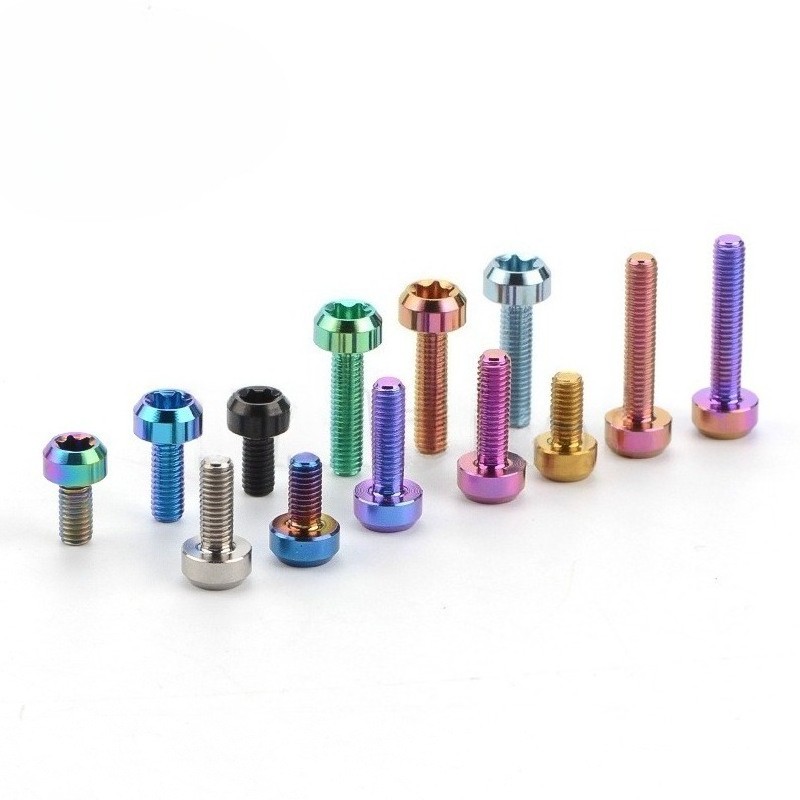 Titanium Bolt M6x10 15 20 25 30 35 40 50 60 65 70 80mm Torx Head Ti Screw 4pcs