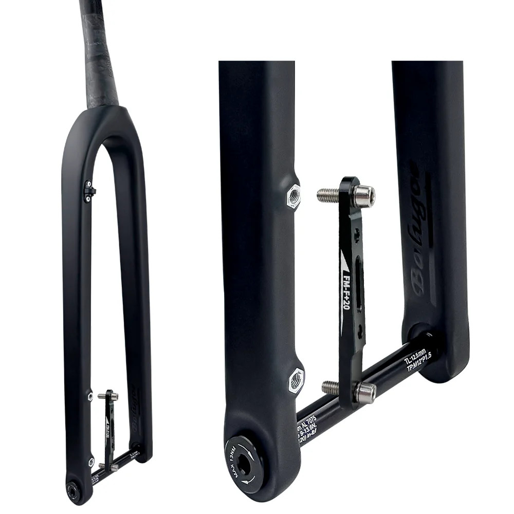 Carbon Internal Cable Disc Brake Front Fork Gravel/Mountain/Road Bike Frok