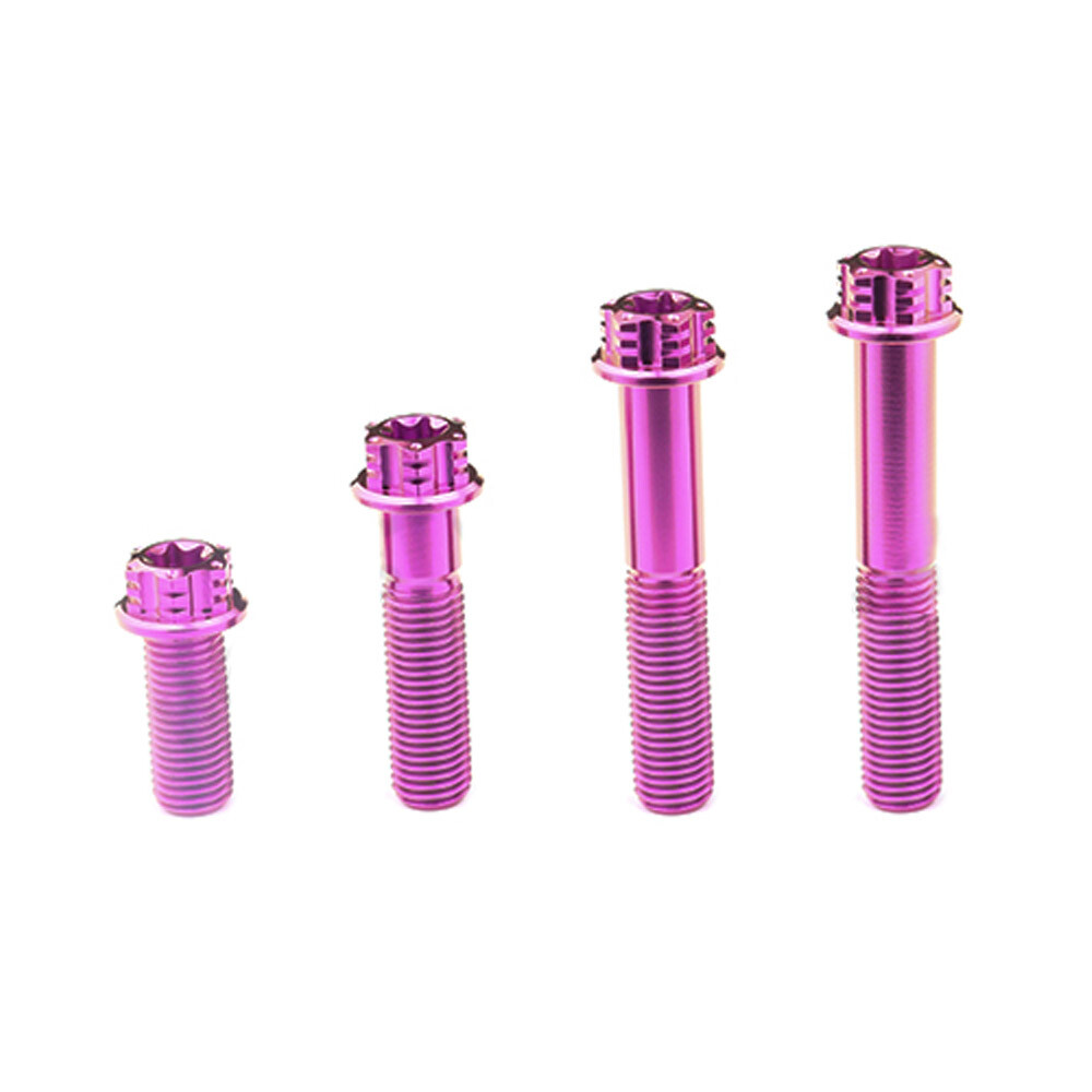 Titanium Alloy Screws M10x20/25/40/55/60mm Pitch 1.25mm Flange Scoket ti Bolts