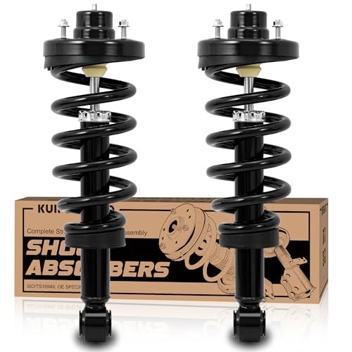 Pair Rear Struts Shocks Complete Assembly Compatible 2x Rear Struts 2007-2017