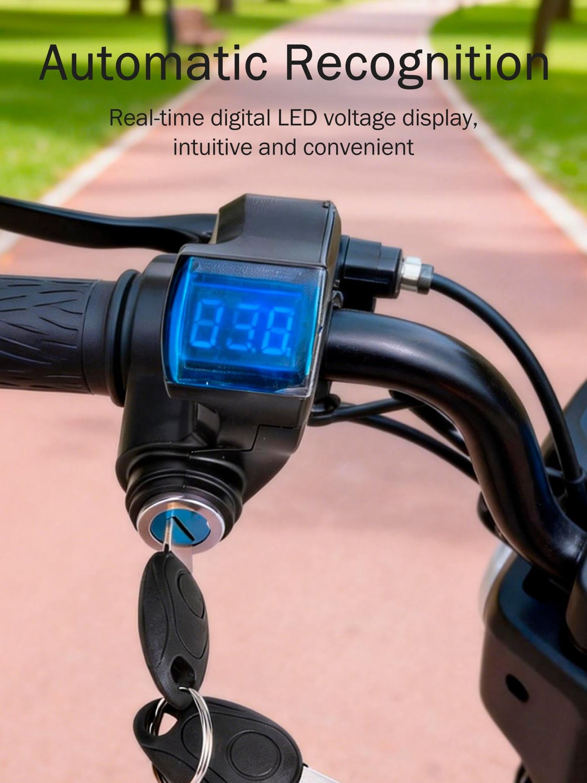 EBike Throttle Control Switch, Speed Switch Lock with LCD Display, Accelerato…