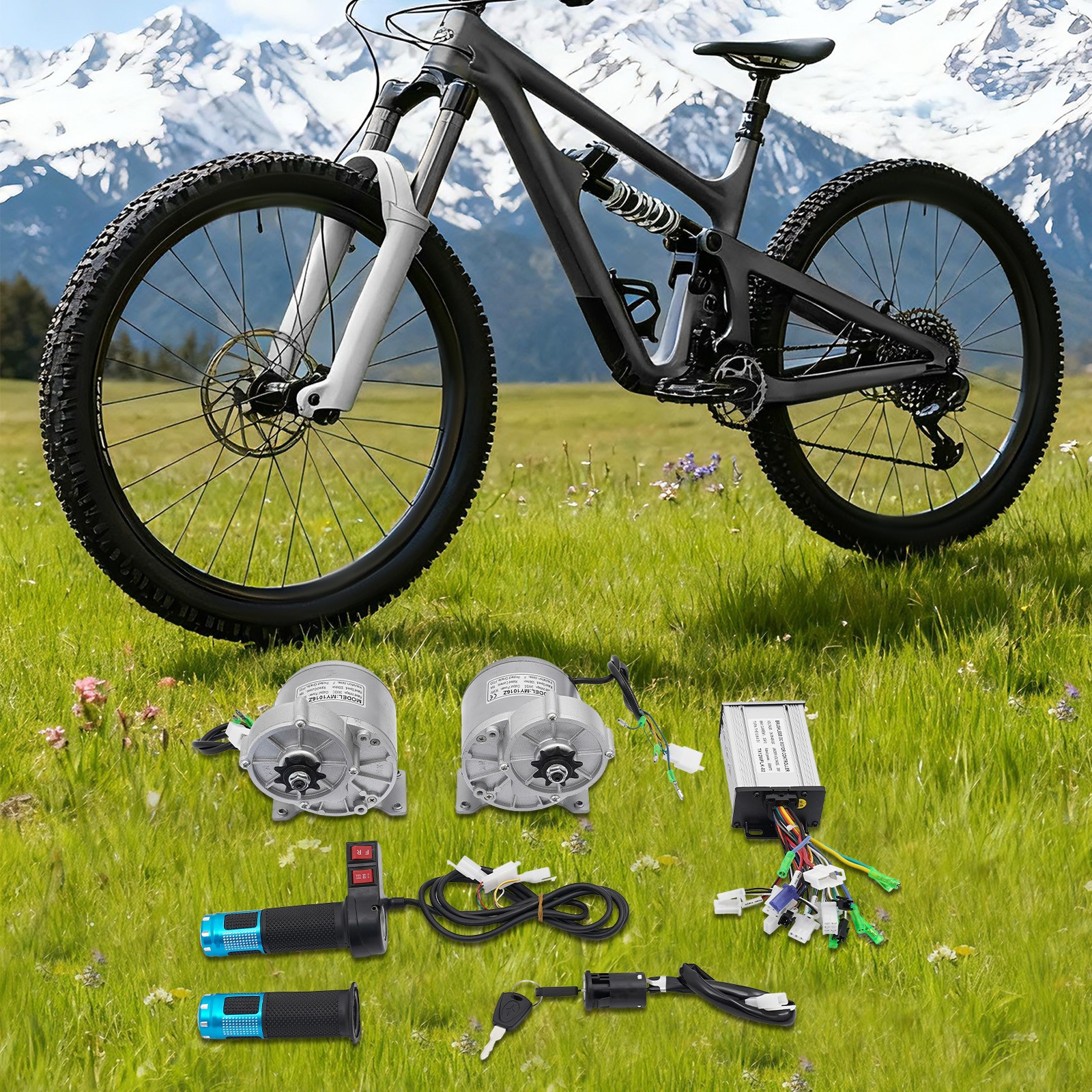 24V Electric Conversion Motor Kit, Motor Conversion Kit with Reverse Throttle